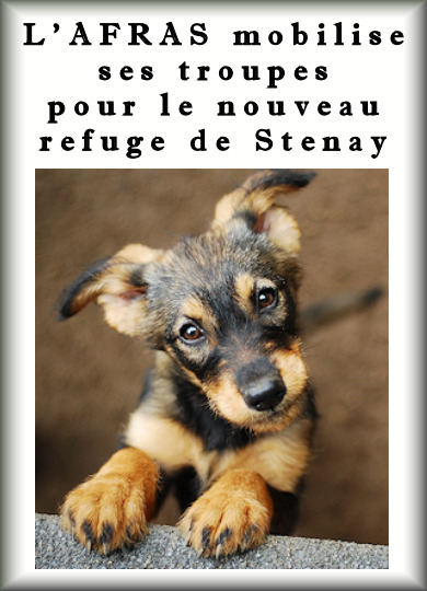 L'AFRAS mobilise les troupes pour le nouveau refuge animalier de Stenay