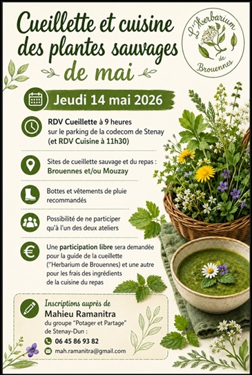 Cueillette et cuisine de olantes sauvages le jeudi 14 mai