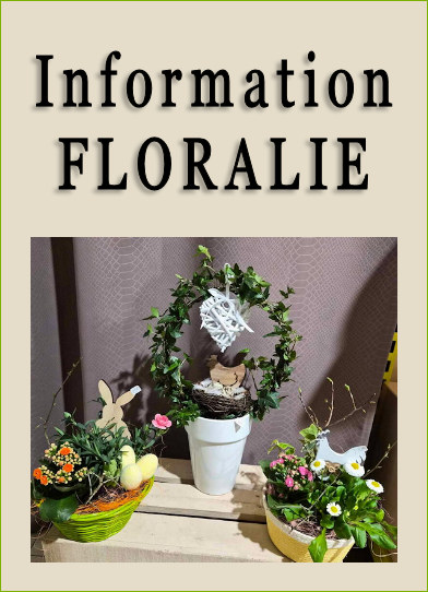INFORMATION Floralie Stenay