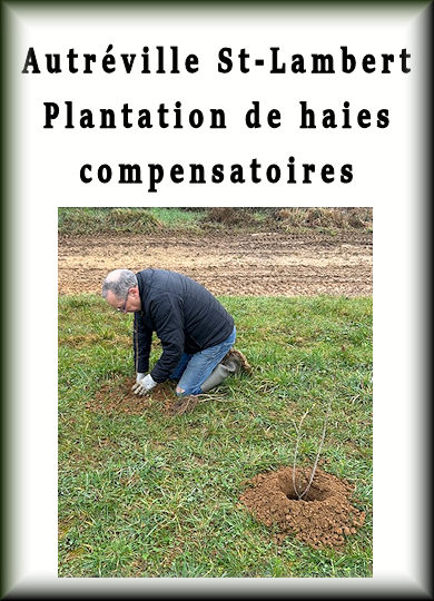 Autréville St-Lambert, plantation de haies compensatoires